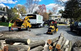 How Our Tree Care Process Works  in Shasta Lake, CA